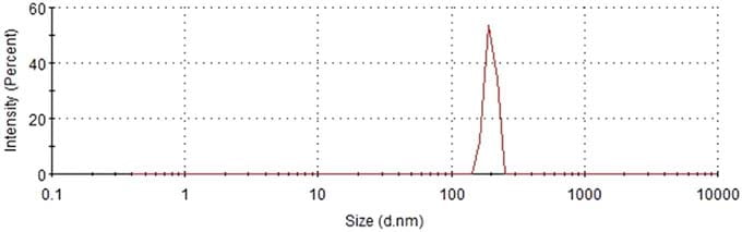 CIP of RO with micro nano bubbles 4