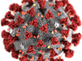 Curing Corona Virus by Ozone Micro Nano Bubbles