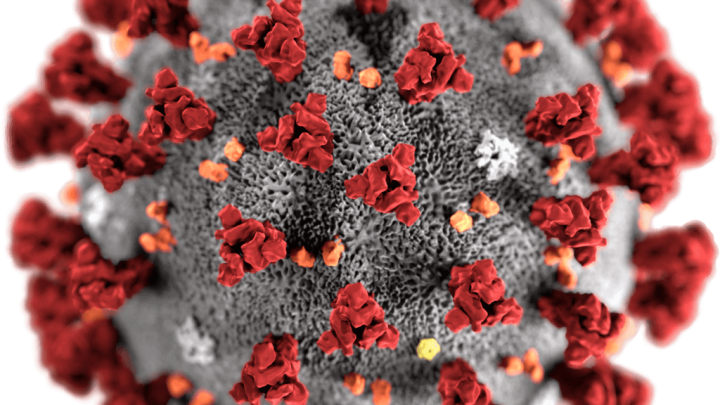 Curing Corona Virus by Ozone Micro Nano Bubbles